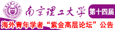 欧美肏穴视频免费观看南京理工大学第十四届海外青年学者紫金论坛诚邀海内外英才！